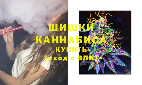 ECSTASY Ельня